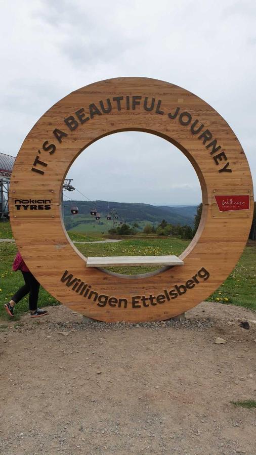 Ferienwohnung Mohnwiese Und Blumenwiese Willingen  Exterior foto