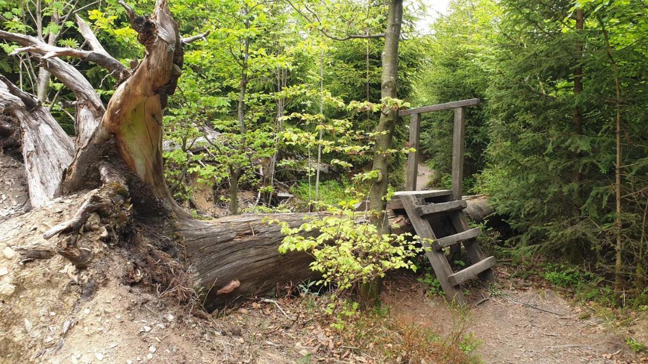 Ferienwohnung Mohnwiese Und Blumenwiese Willingen  Exterior foto